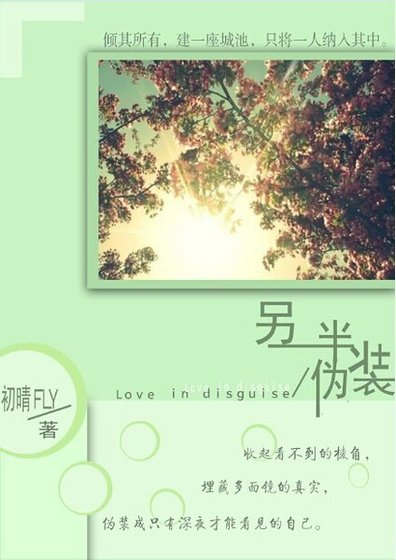 另一半伪装