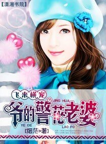 飞来横宠－爷的警花老婆