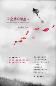 《天堂裏的陌生人(出書版)》