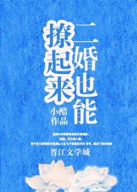 二婚也能撩起來/小陽春[豪門]