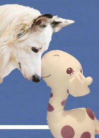 （BL-社交网络同人）Geronimo安全降落 ME