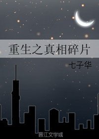 重生之真相碎片