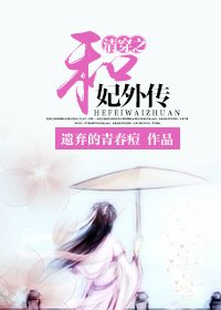 清穿之和妃外傳