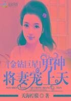金钻巨星：男神将妻宠上天
