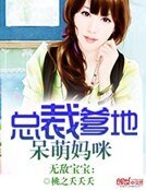无敌宝宝:总裁爹地呆萌妈咪