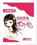 小小王爷不大妃