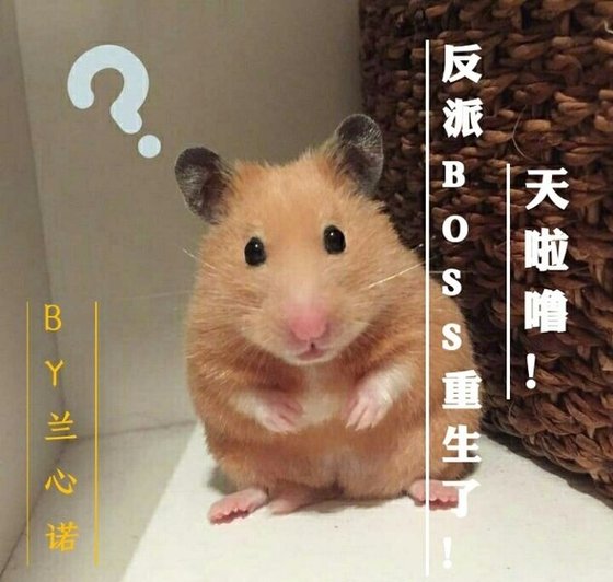 （刺客列传同人）天啦噜！反派BOSS重生了！（仲孟同人）