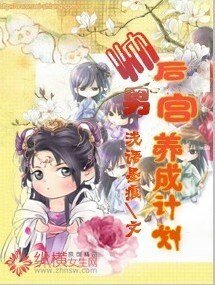 帅男后宫养成计划