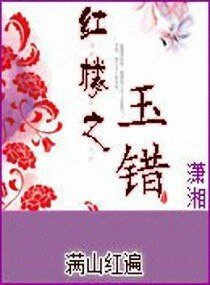 （红楼同人）红楼之玉错