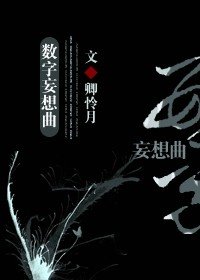 （綜小説同人）數字妄想曲