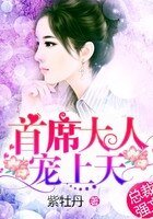 首席大人，寵上天