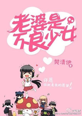 老婆是不良少女