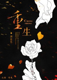 重生之腦殘粉歸來