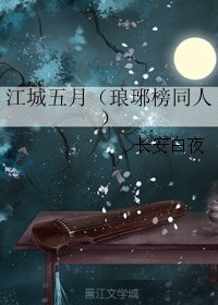 （琅琊榜同人）江城五月