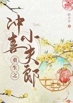 重生之冲喜小夫郎
