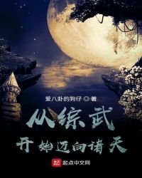 《從綜武開始邁向諸天》