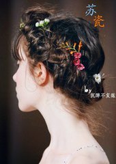 《重生之蘇瓷》
