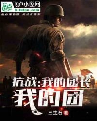 《抗戰:我的團長我的團》