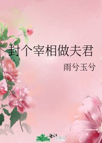 封个宰相做夫君