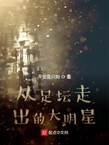 《從足壇走出的大明星》