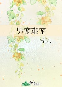 男寵難寵