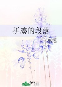 拼凑的段落