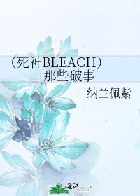 （死神BLEACH）那些破事