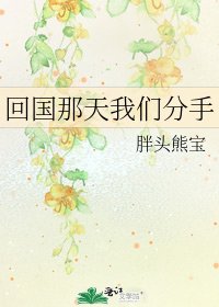 回国那天我们分手
