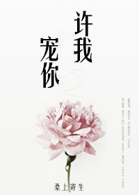 许我宠你