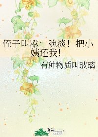 侄子叫囂：魂淡！把小姨還我！