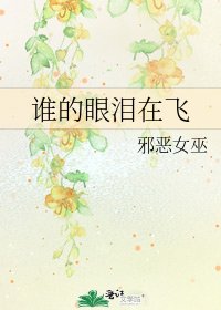 谁的眼泪在飞