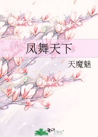 凤舞天下