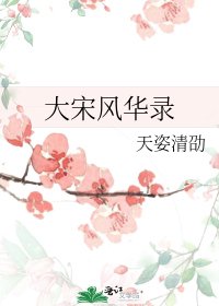 大宋风华录