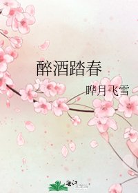 醉酒踏春