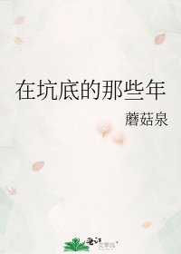 在坑底的那些年