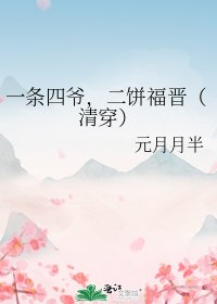 一条四爷,二饼福晋(清穿)