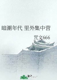 暗潮年代 里外集中营