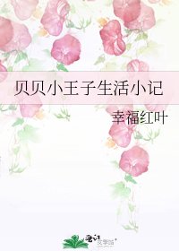 貝貝小王子生活小記