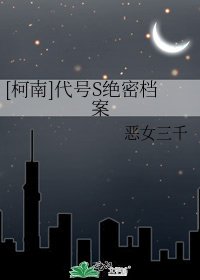 [柯南]代號S絕密檔案