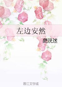 左边安然