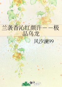 《蘭襲香沁紅顏許--極品烏龍》