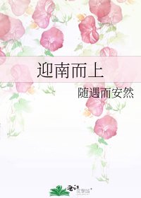 迎南而上