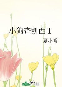 小狗查凱西Ⅰ