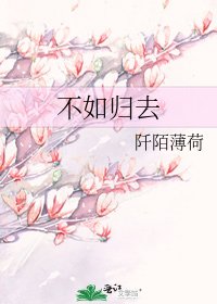 不如归去