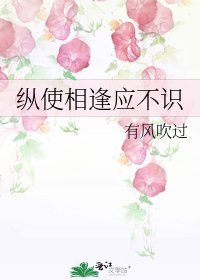 縱使相逢應不識
