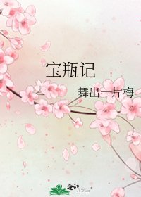寶瓶記