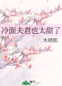 《冷麪夫君也太甜了》