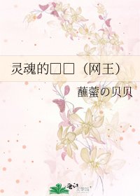 灵魂的□□（网王）