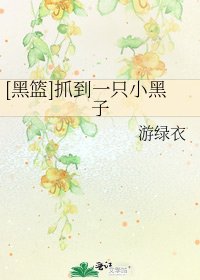 [黑篮]抓到一只小黑子