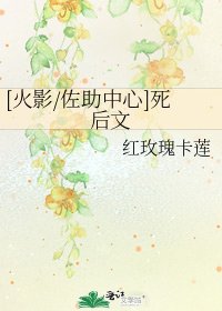 [火影/佐助中心]死後文